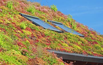 Brindle Heath living roof systems