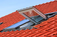 Brindle Heath roof window
