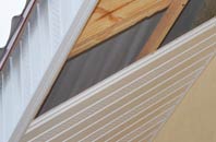 rated Brindle Heath soffit repair companies